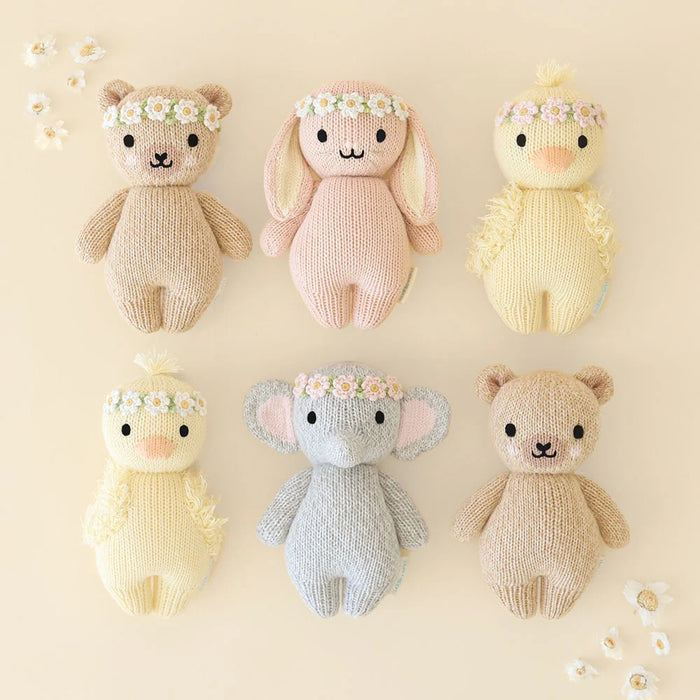 Baby Bunny (Rose with Ivory Floral)