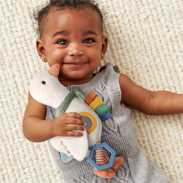 Bitzy Traveler™ Developmental Sensory Toy - Gracie the Goose