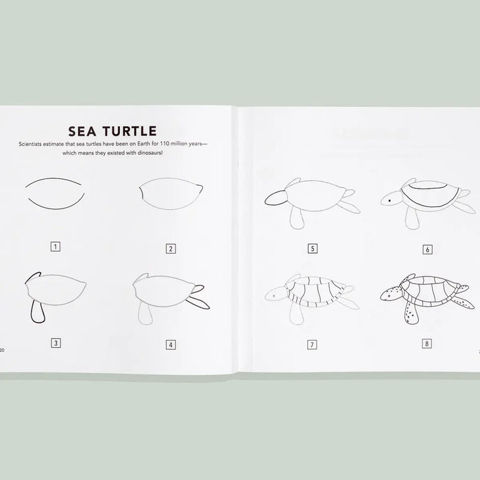 Under the Sea: How to Draw Art Books for Kids