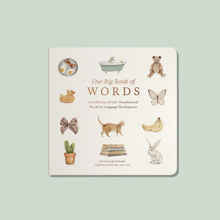 Our Big Book of First Words || Board Book