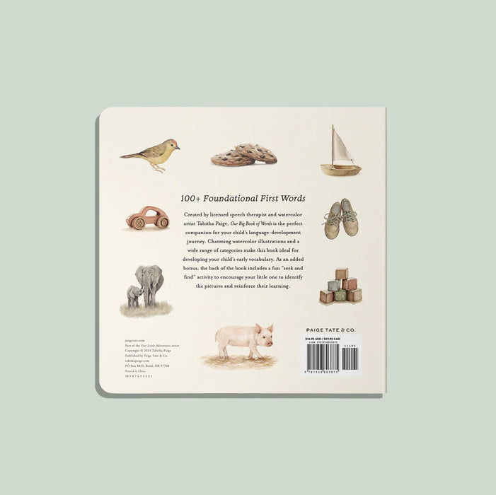 Our Big Book of First Words || Board Book