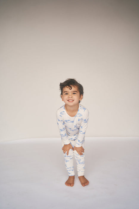 Classic Set - Sardine