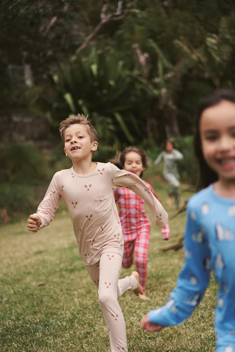 Classic Set - Reindeer