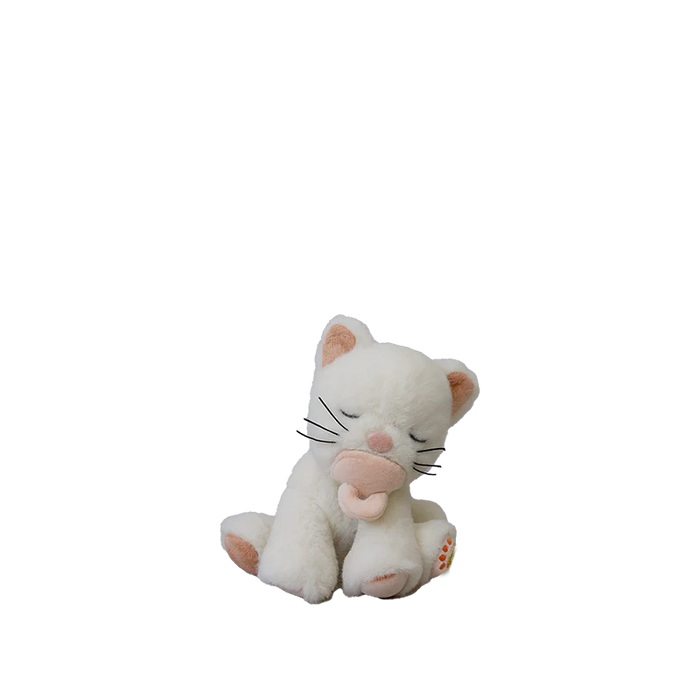 Binky Kitten Kiki
