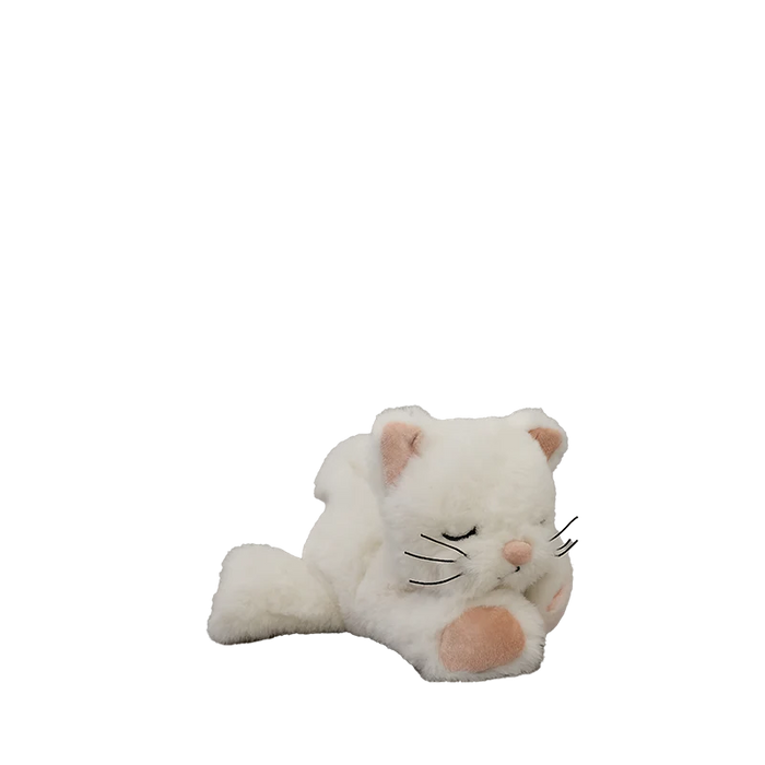 Binky Kitten Kiki