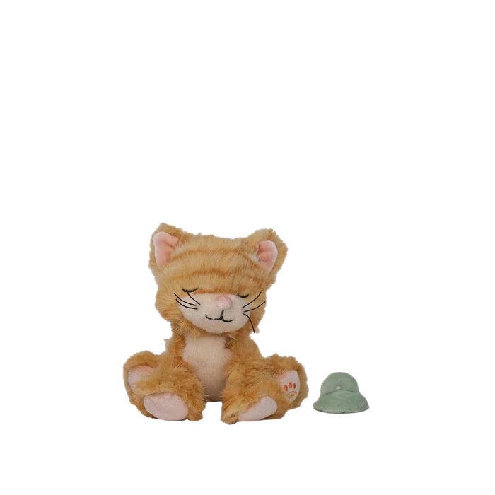 Binky Kitten Koda