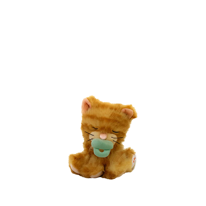 Binky Kitten Koda