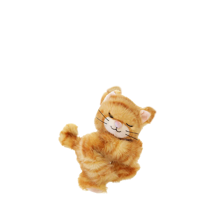 Binky Kitten Koda