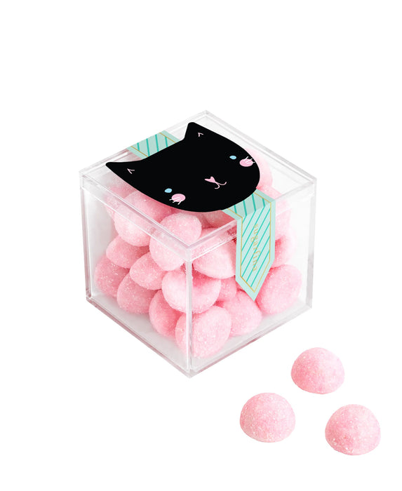Cat - Pink Bonbons - Small (Halloween 2026)