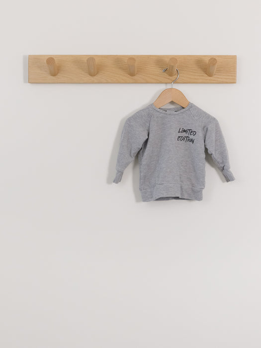 Posh & Cozy crewneck pullover - limited edition