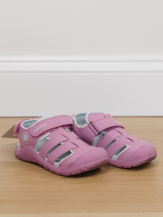 Geox Shoes