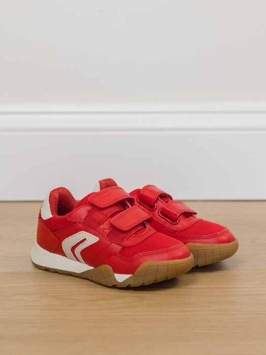 Geox Shoes