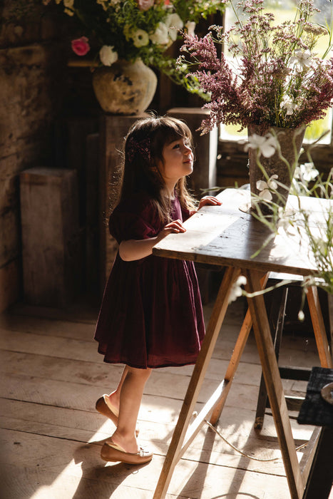 Organic Cotton Frannie Dress - Fig