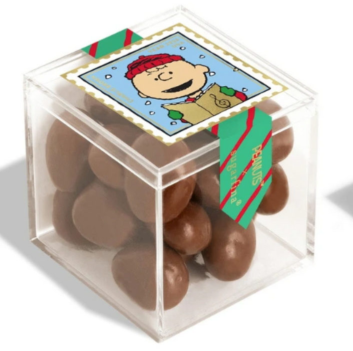 Charlie Brown Chocolate Biscuits Small (Peanuts Holiday 2026)(Canada)