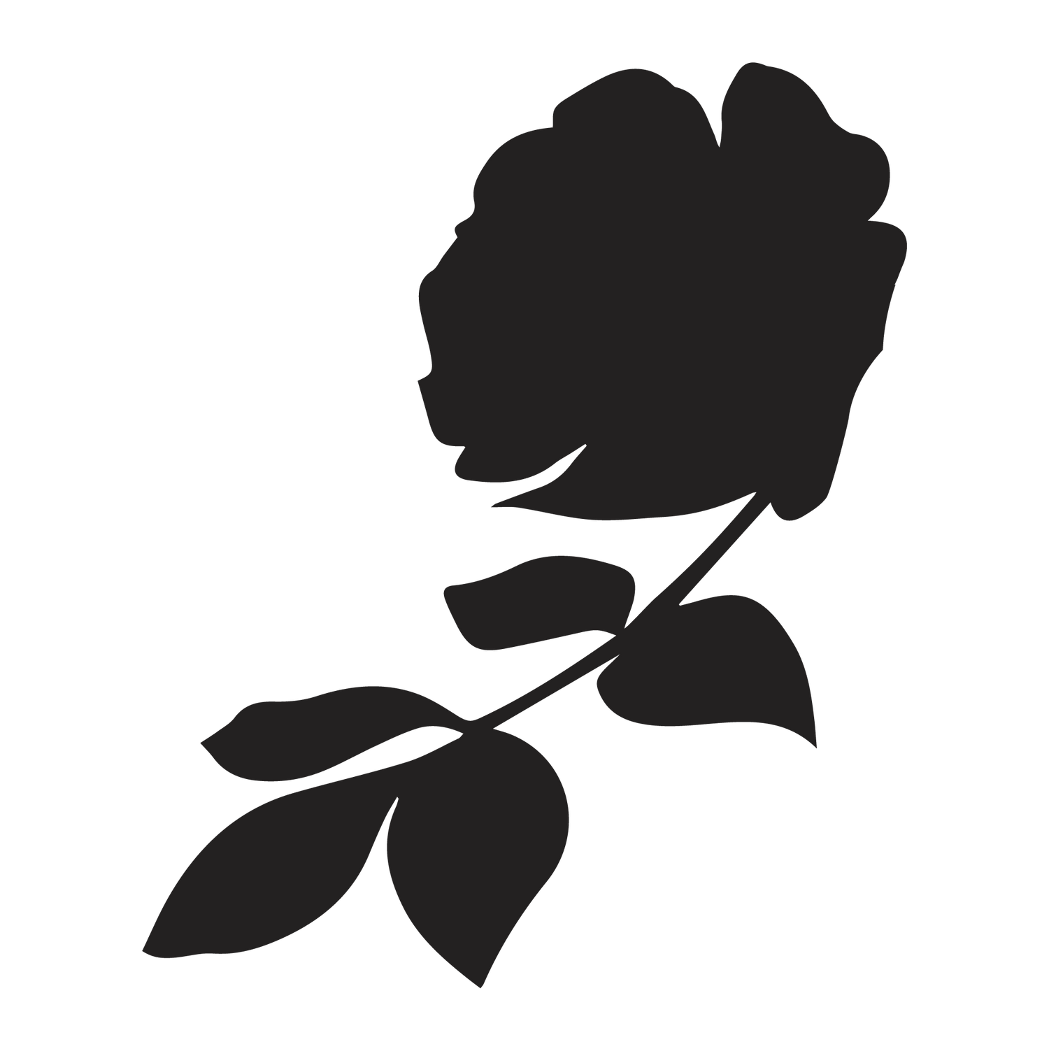 Thistle and Wren square rose logo