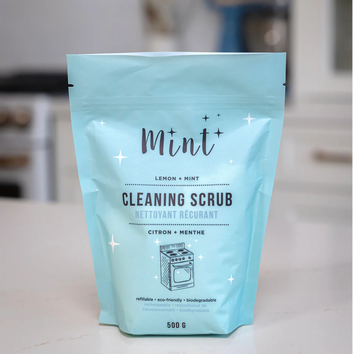 Cleaning Scrub Refill 500g