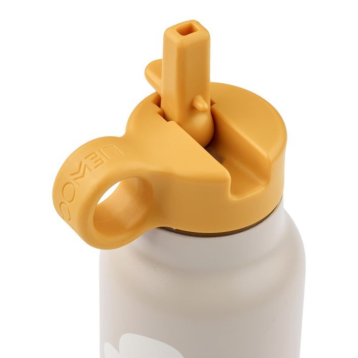 Falk Water Bottle - Around the World