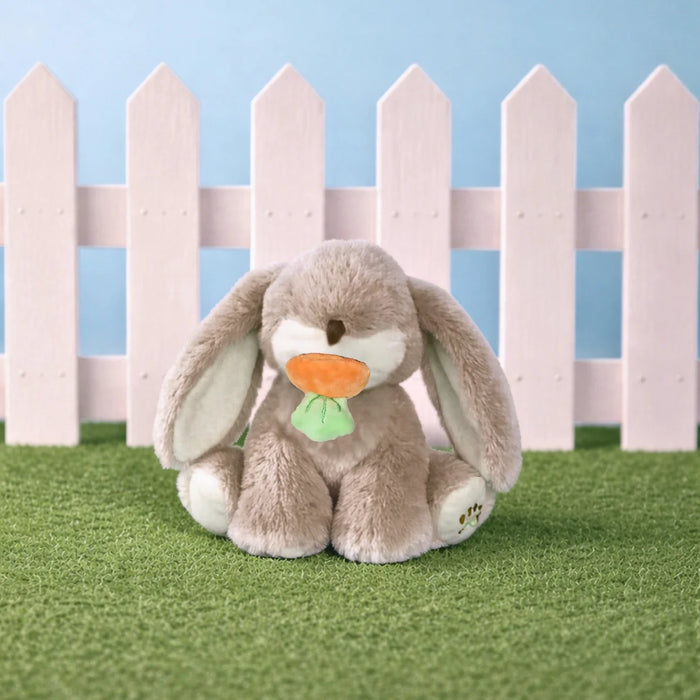 Binky Bunny - Hop