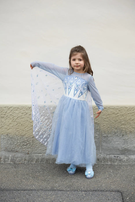 Once Upon a Winter Princess Dress