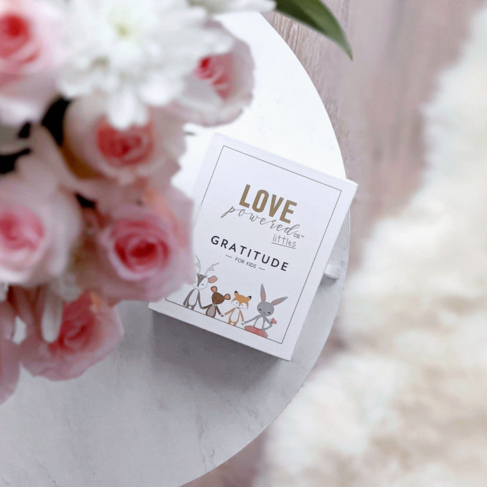 Love Powered Co Littles Mini Boxes - Gratitude, Connection + Mindfulness
